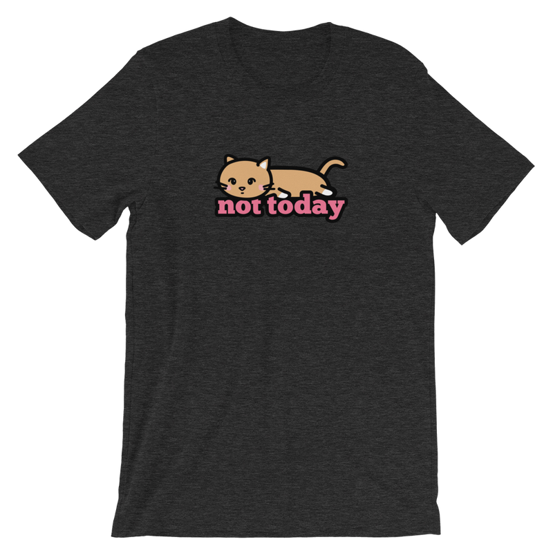 Not Today Cat Shirt