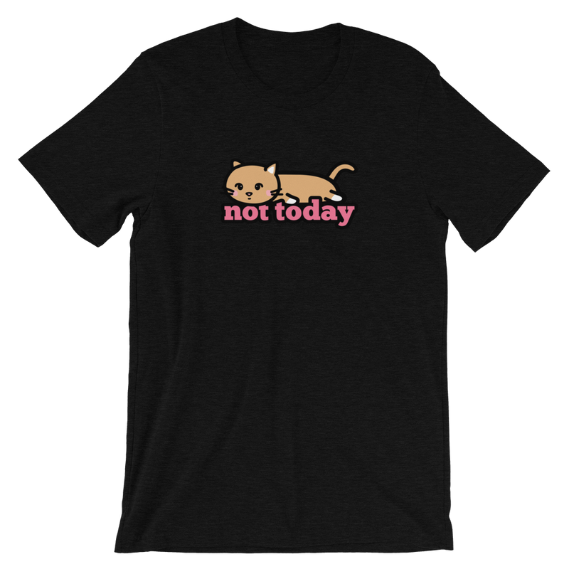 Not Today Cat Shirt