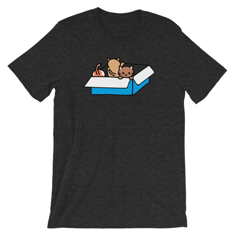 Kittens In A Box Shirt